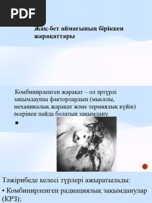 Үлкен емізікшелер