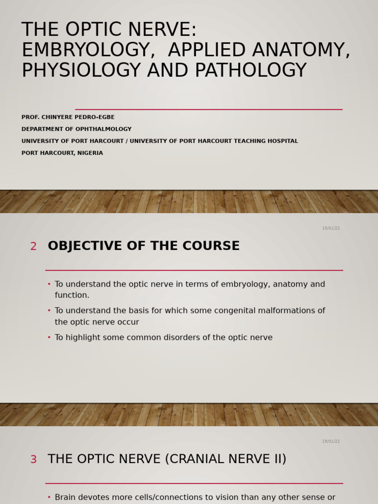 Optic Nerve (Dr. Aderinto) | PDF | Visual System | Nervous System