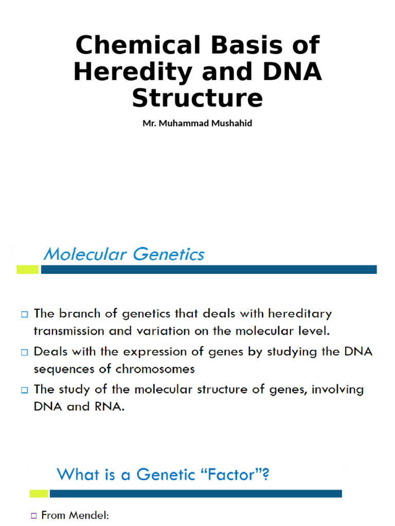 Lecture 6. Chemical Basis of Genetic Inhertence | PDF