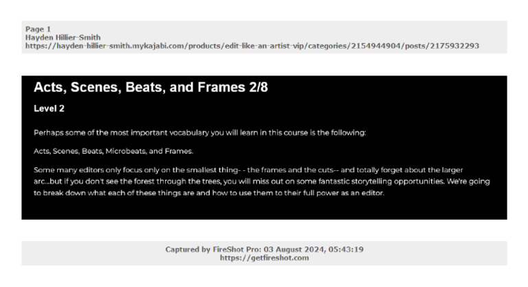 02-Acts Scenes Beats and Frames 2-8 | PDF