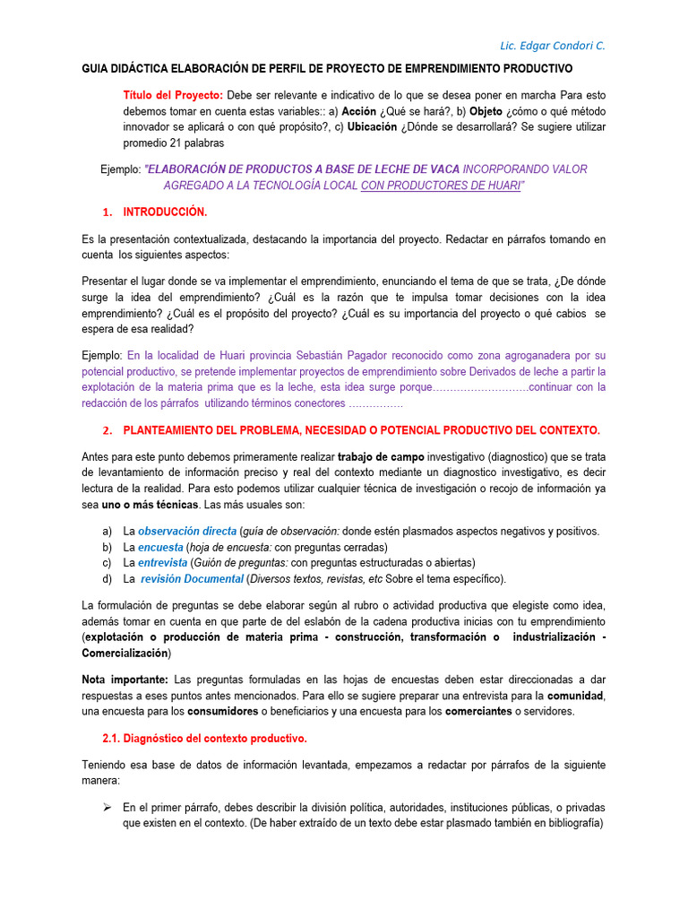 Guía para Elaborar Perfil de Proyecto de Emprendimiento | PDF | Mercado ...
