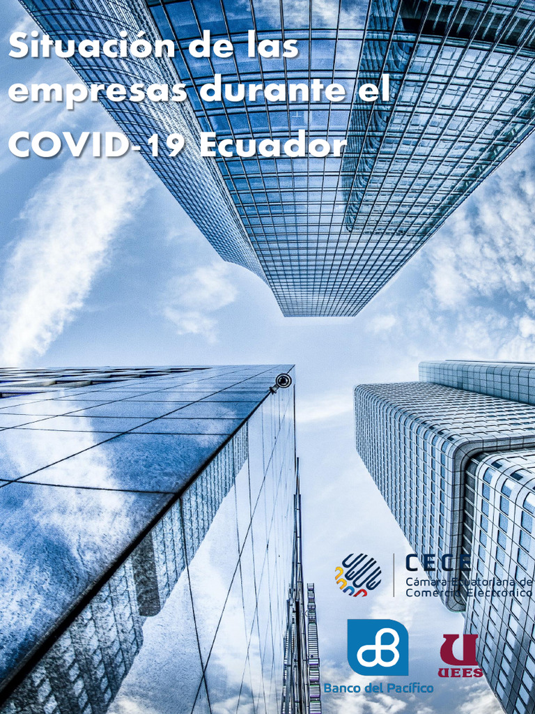 Situacion de Las Empresas Durante El Covid19 en Ecuador | PDF ...
