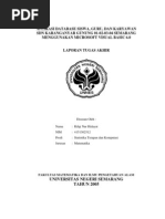 Download APLIKASI SEKOLAH DASAR by Agung My SN87336624 doc pdf
