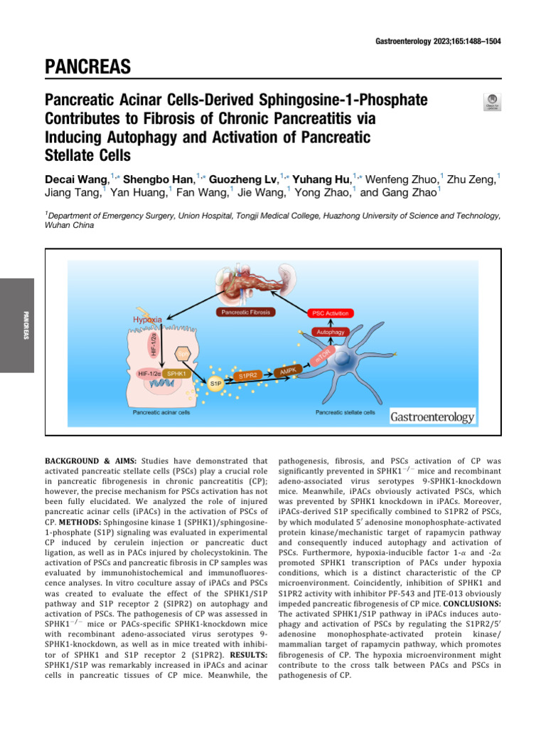 Pancreatic Acinar Cells Derived Sphingos | PDF | Autophagy | Pancreas