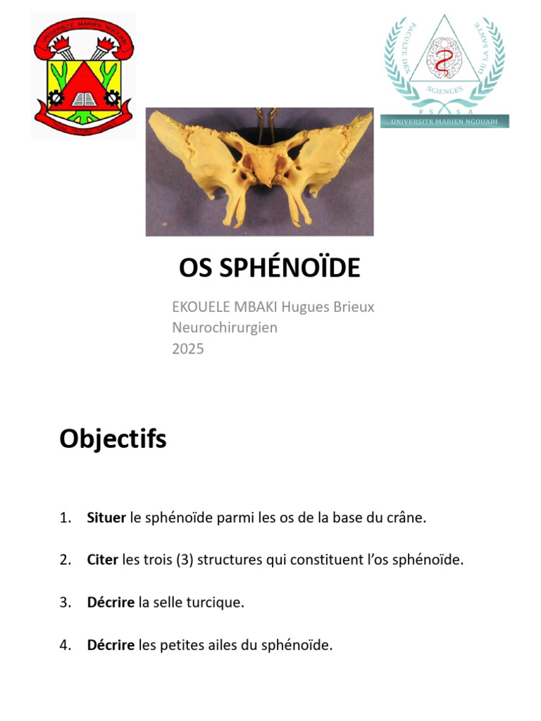 Anatomie de l'os sphénoïde | PDF | Tête et cou chez l'humain | Système ...
