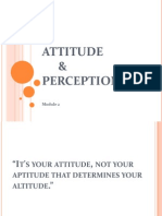 Attitude & Perception