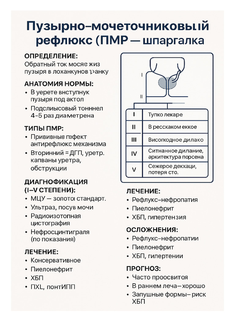 PMR Infographic | PDF