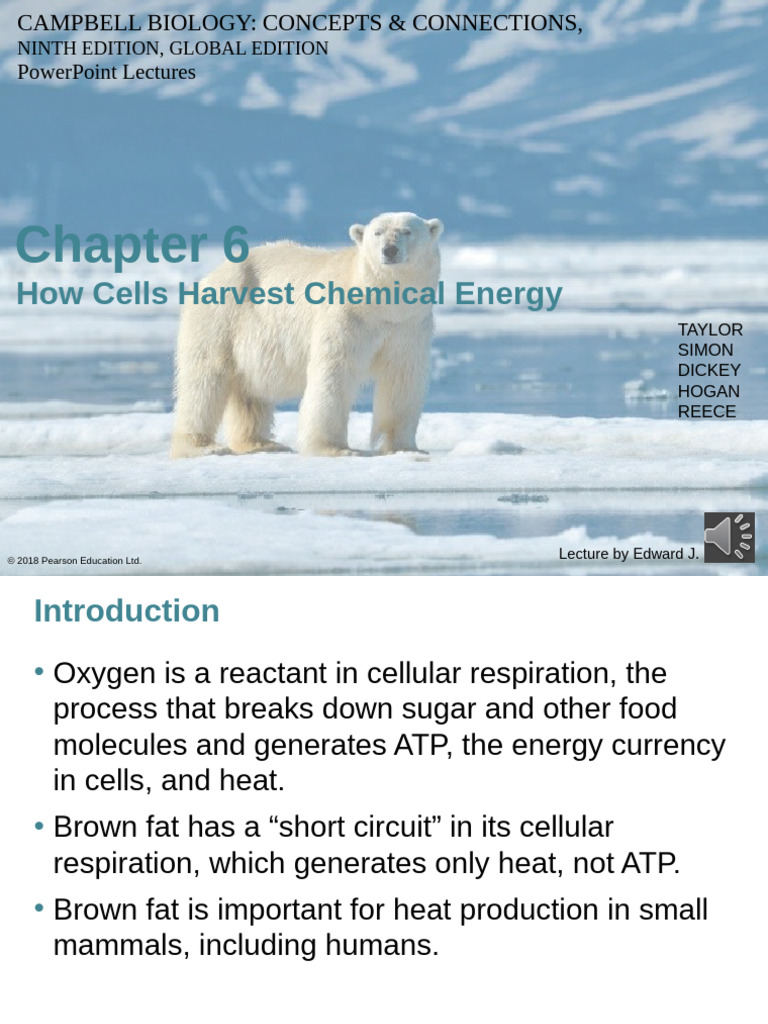 Cellular Respiration: Energy Harvesting Explained | PDF | Cellular ...