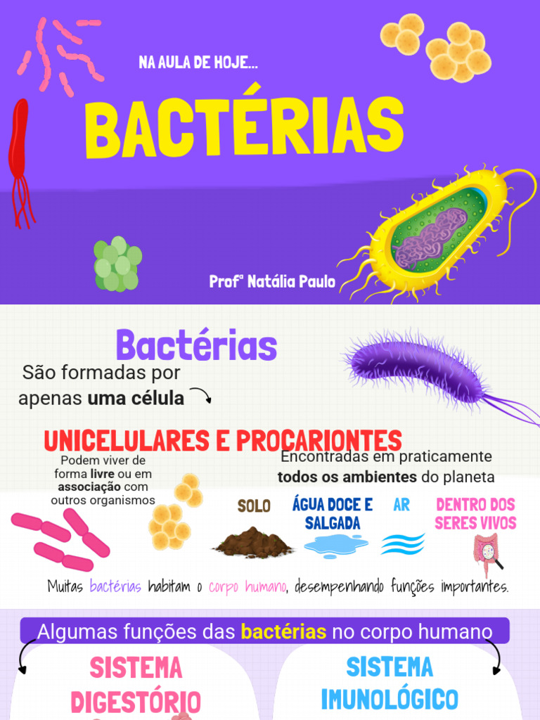 Funções e Importância das Bactérias | PDF | Bactérias | Célula (Biologia)