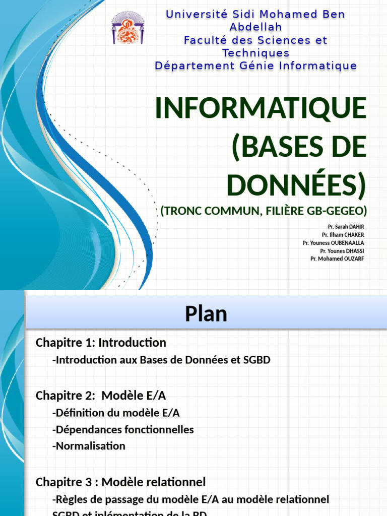 Introduction aux Bases de Données | PDF | Microsoft Access | Bases de ...