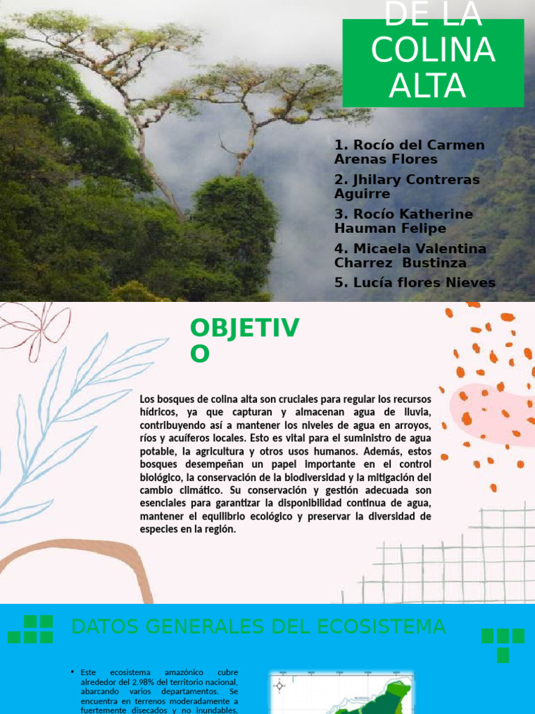 Bosque de La Colina Alta | PDF | Biodiversidad | Los bosques