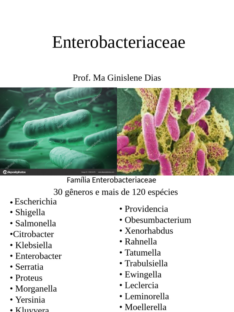 Características e Gêneros da Enterobacteriaceae | PDF | Salmonella ...