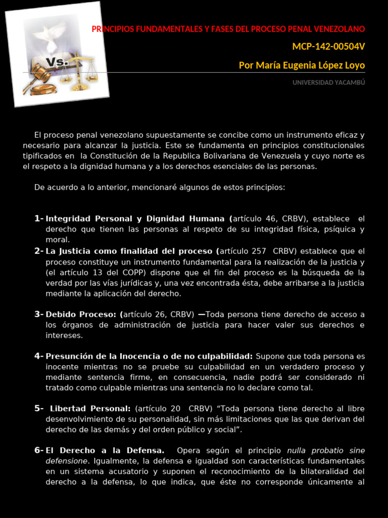 Principios y Fases Del Proceso Penal | PDF | Debido al proceso | Juez