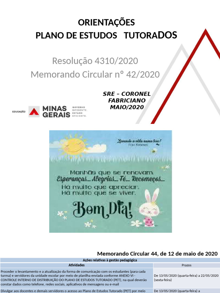 Plano de Estudos Tutorado - Orientações | PDF | Alfabetização | Pedagogia