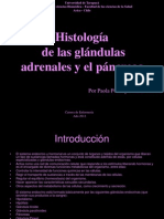Histología de las glándulas adrenales y el páncreasf