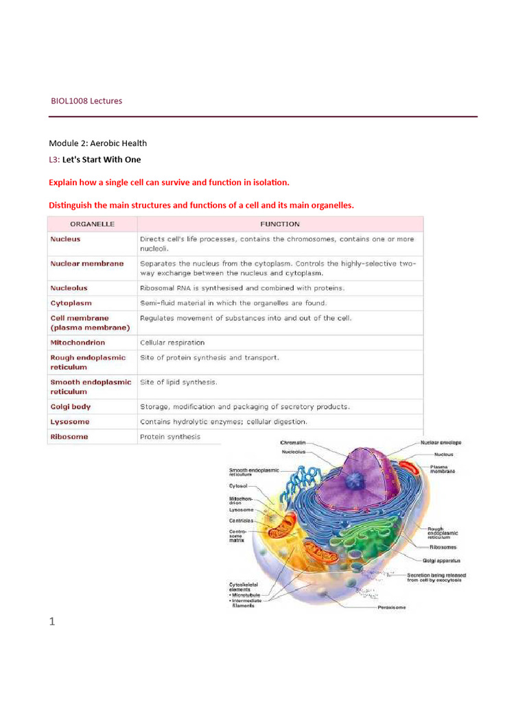Biol1008 Lectures Lecture Notes All | PDF | Bone | Adenosine Triphosphate