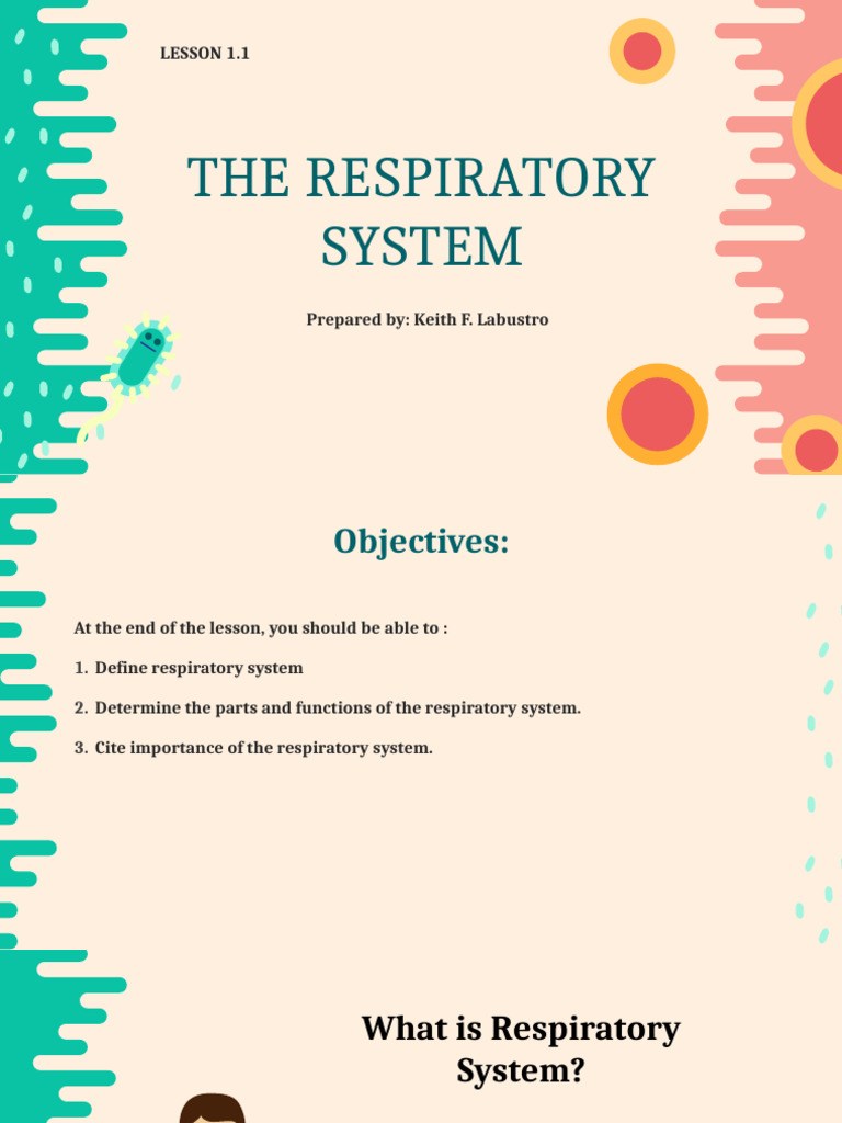 Science 9 Lesson 1.1 | PDF | Lung | Respiratory Tract