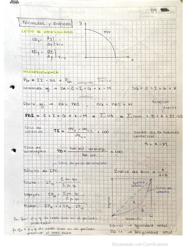 Resumen Corto Micro | PDF