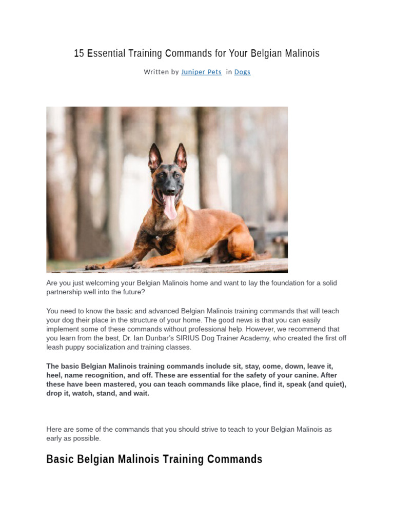 Essential Commands for Belgian Malinois Training | PDF | Dogs | Search ...