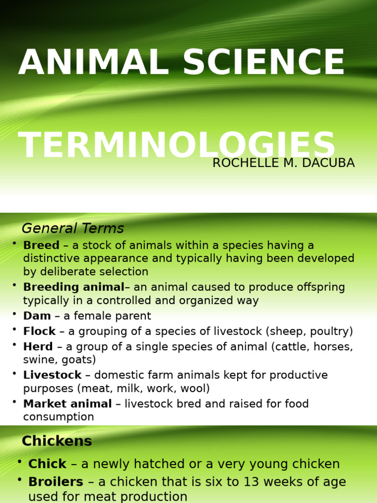 Animal Science Week 2 | PDF | Sheep | Cattle