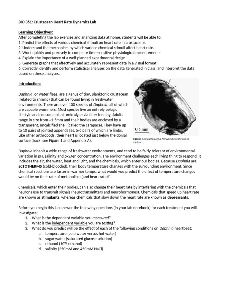 Crustacean Heart Rate Lab: Daphnia Dynamics | PDF | Water | Heart Rate