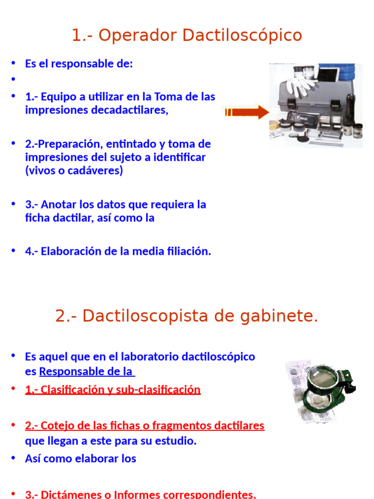 Dactiloscopia 2 | PDF | Huella dactilar | Biometría