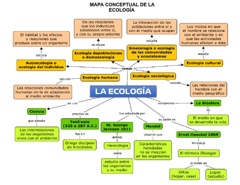Mapa Conceptual de La Ecologia | PDF