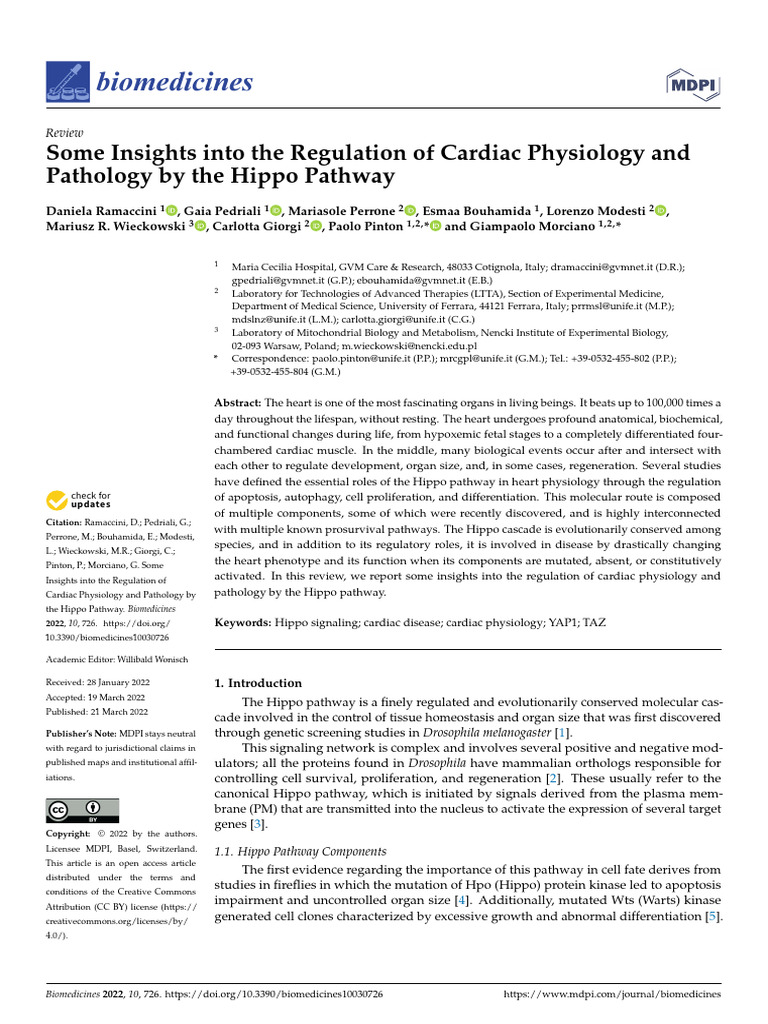 Hippo Pathway in Cardiac Regulation | PDF | Autophagy | Kinase