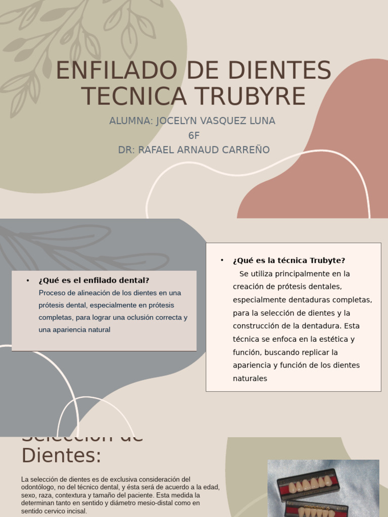 Proceso de Enfilado Dental | PDF | Anatomia dental | Diente
