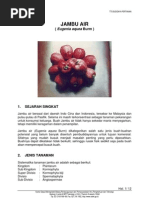 Download jambu_air by dhiforester SN8735543 doc pdf