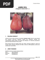 Download jambu_bol by dhiforester SN8735601 doc pdf