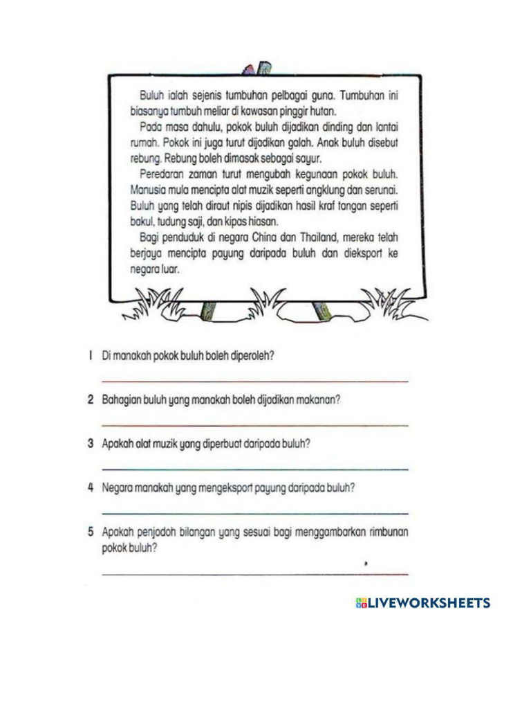 BM19 | PDF