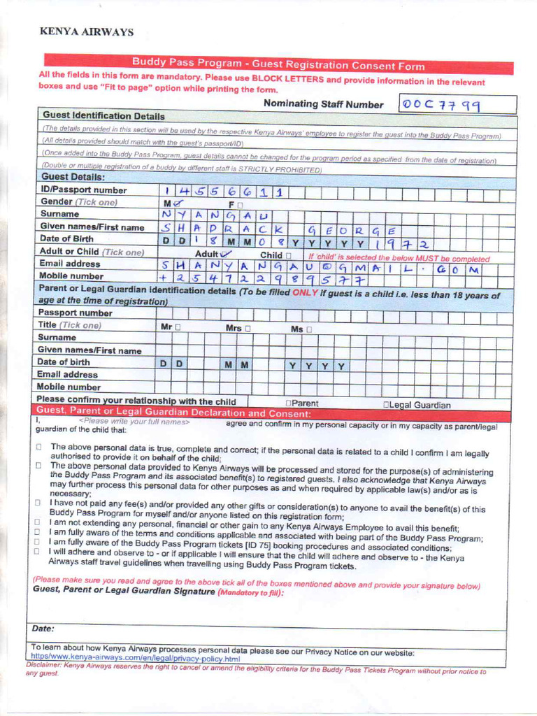 Consent Form 2024 | PDF