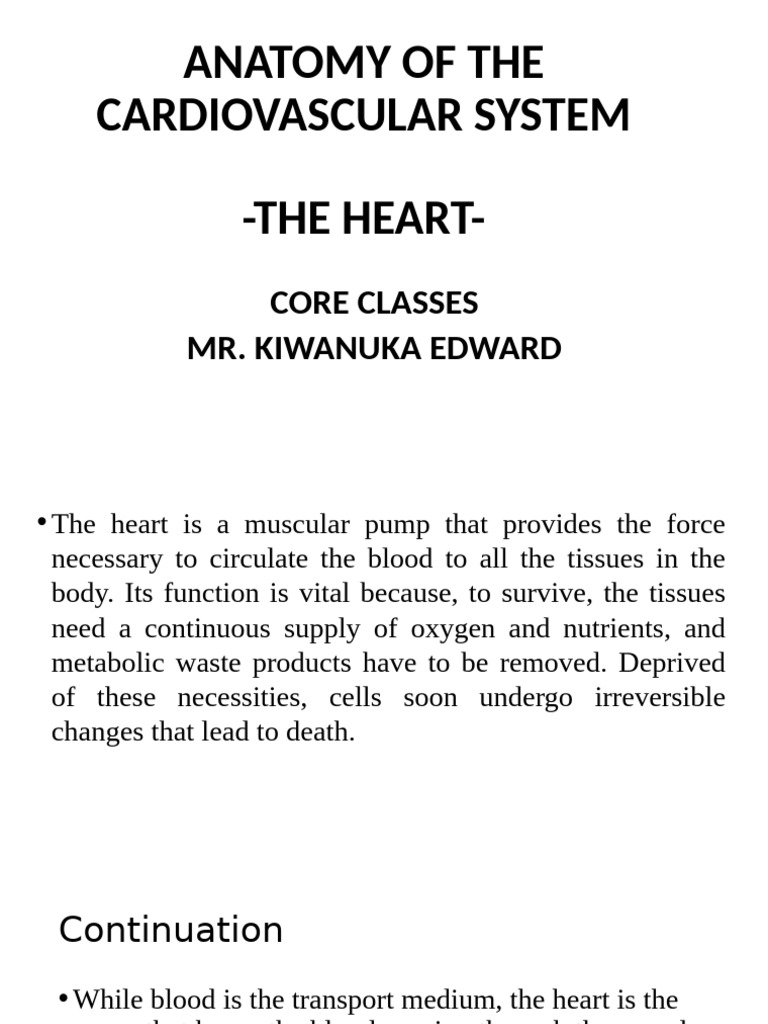 Anatomy of The Cardiovascular System | PDF