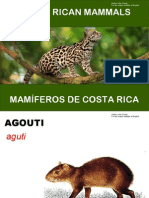 Mammals of Costa Rica