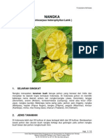 Download NANGKA by dhiforester SN8736040 doc pdf