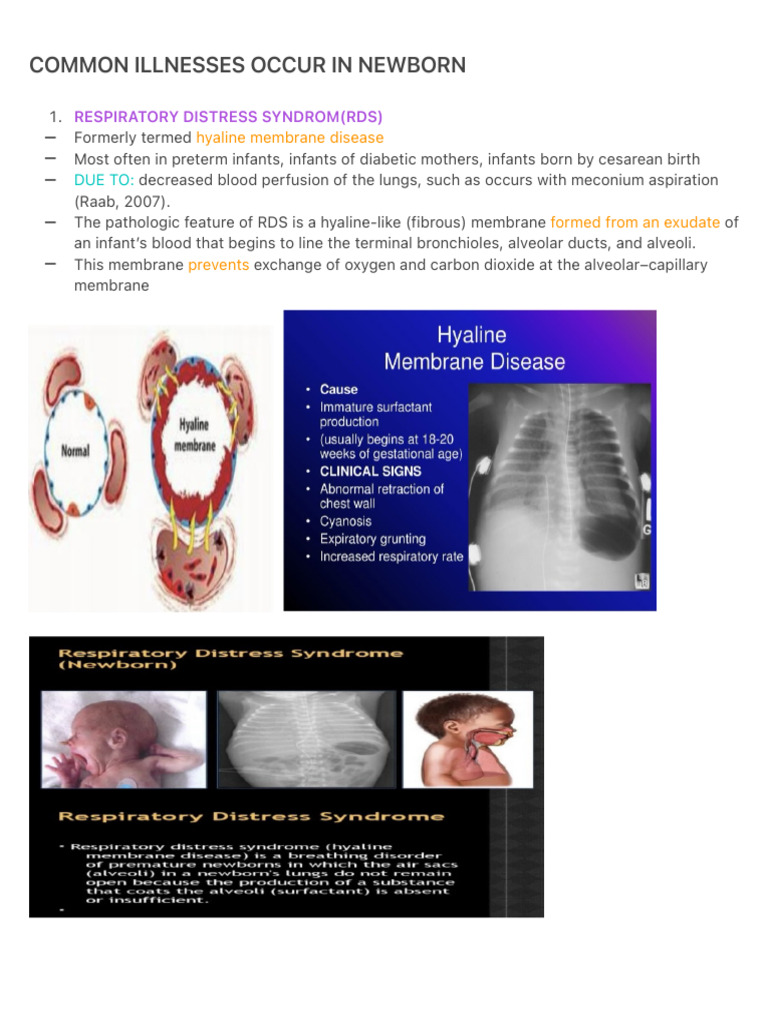 Newborn Respiratory Distress Overview | PDF | Lung | Respiratory System