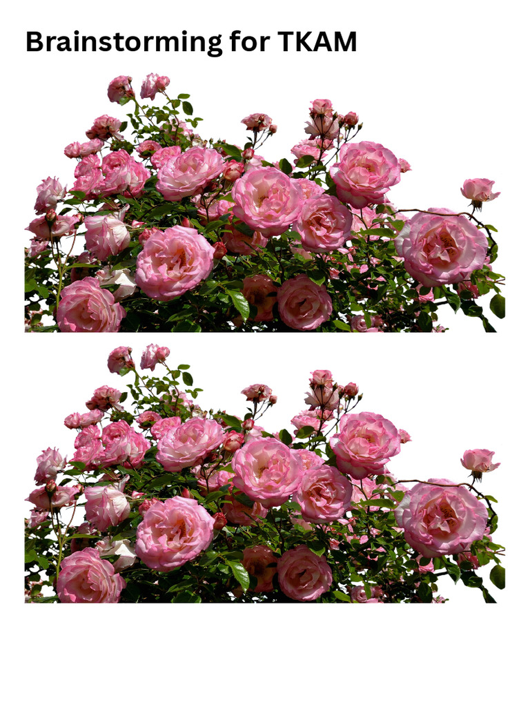Roses | PDF
