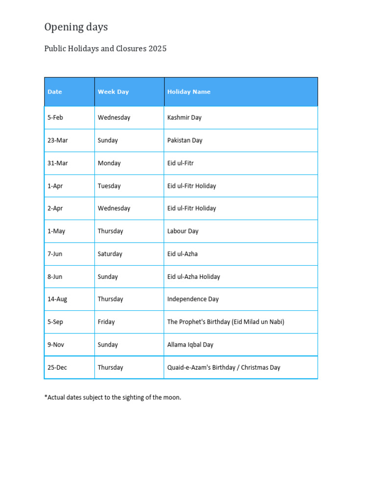 Public Holiday IRL 2025 ENG | PDF