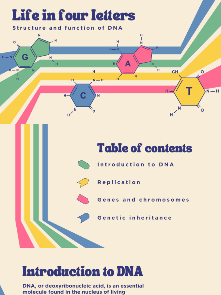 Structure and Function of DNA Presentation in Colorful Retro ...