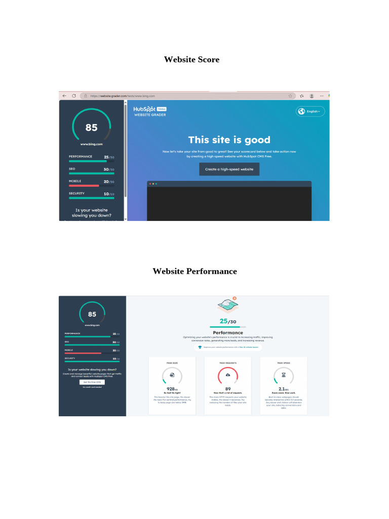 Website Score and Performance Insights | PDF