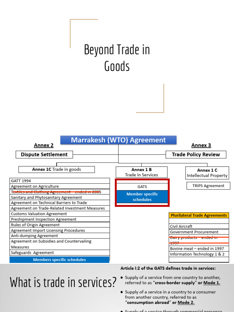 Beyond Trade in Goods | PDF | Market Access | Intellectual Property