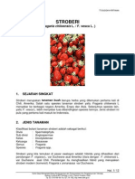 Download STROBERI by dhiforester SN8736965 doc pdf