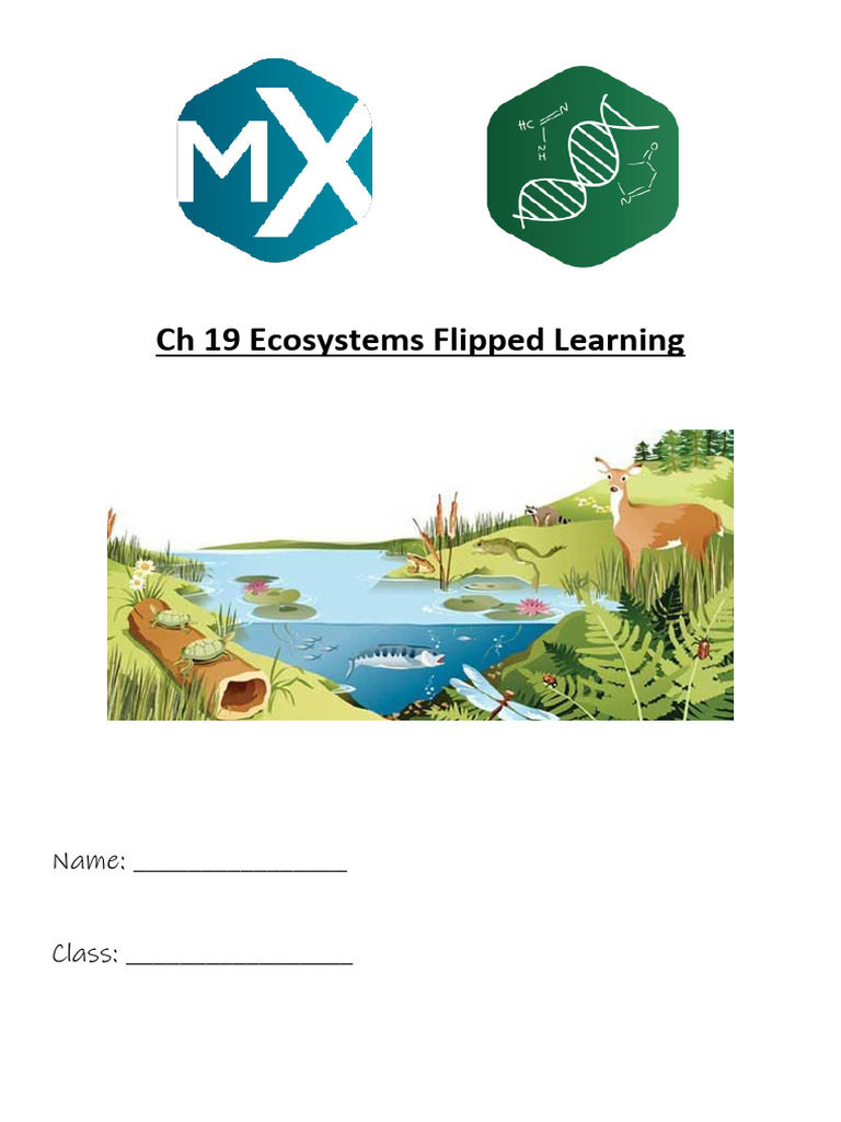 Ecosystems: Flipped Learning Guide | PDF | Ecosystem | Ecological Niche