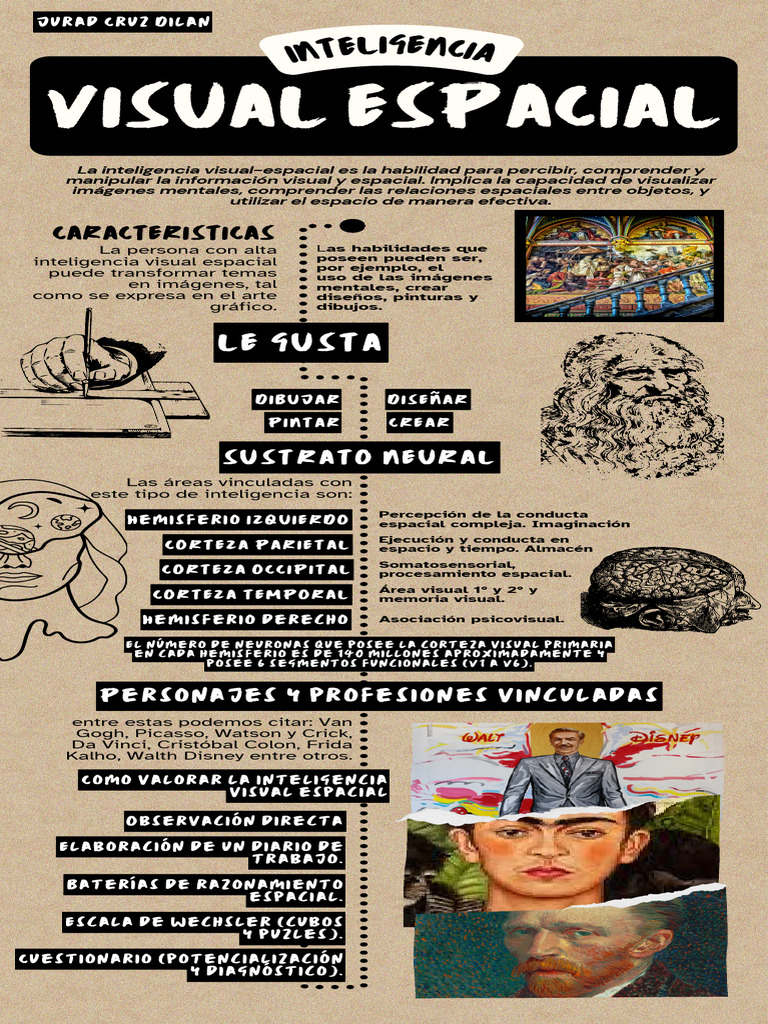 Inteligencia Visual-Espacial: Características y Evaluación | PDF