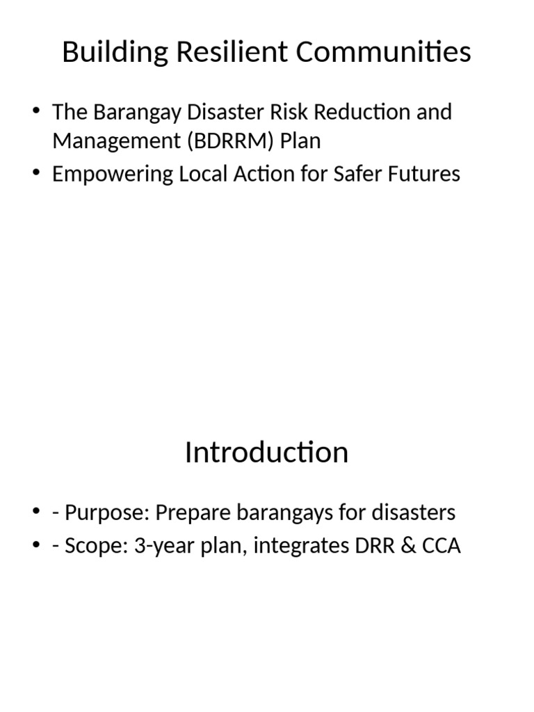BDRRM Plan Overview and Objectives | PDF