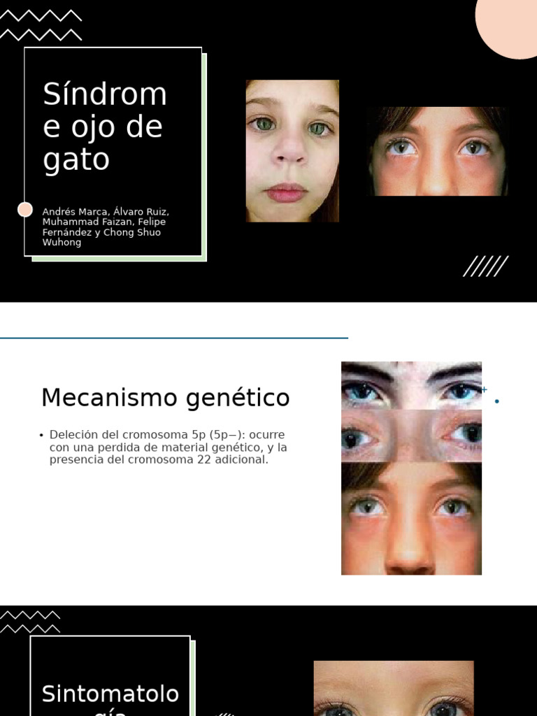 s-ndrome-del-ojo-de-gato-causas-y-tratamiento-pdf