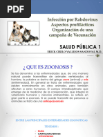 Esquema Essen de Vacunación Antirrábica | PDF | Rabia | Ciencias de la ...