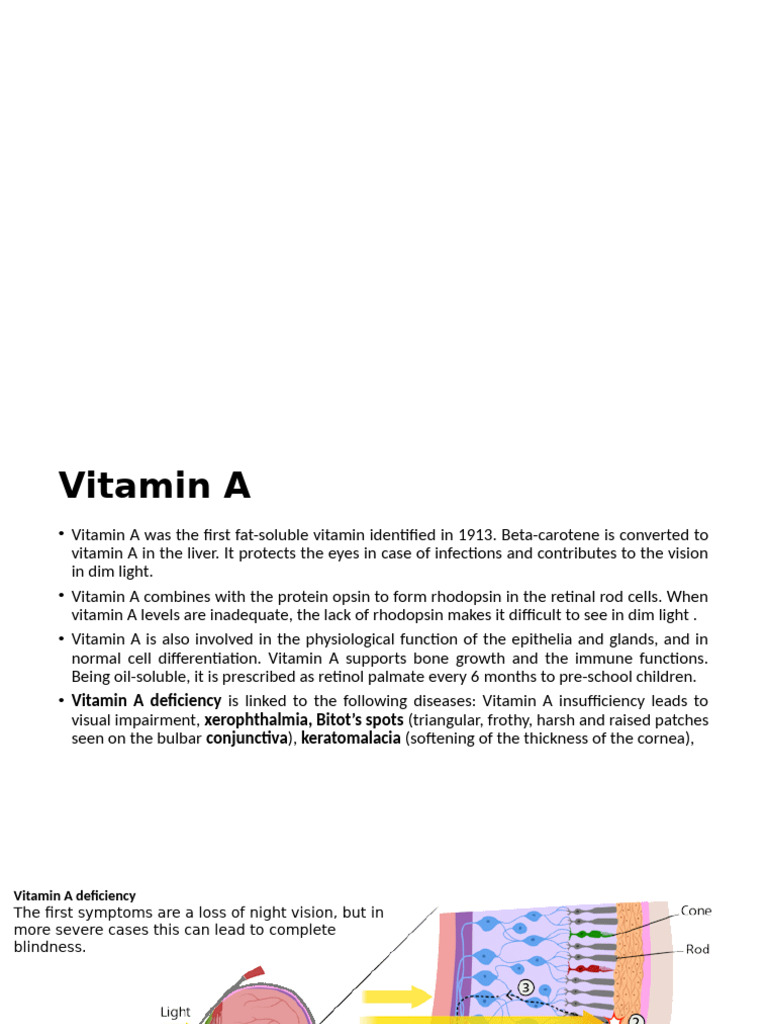 Understanding Vitamin A and Night Blindness | PDF | Vitamin A | Cornea