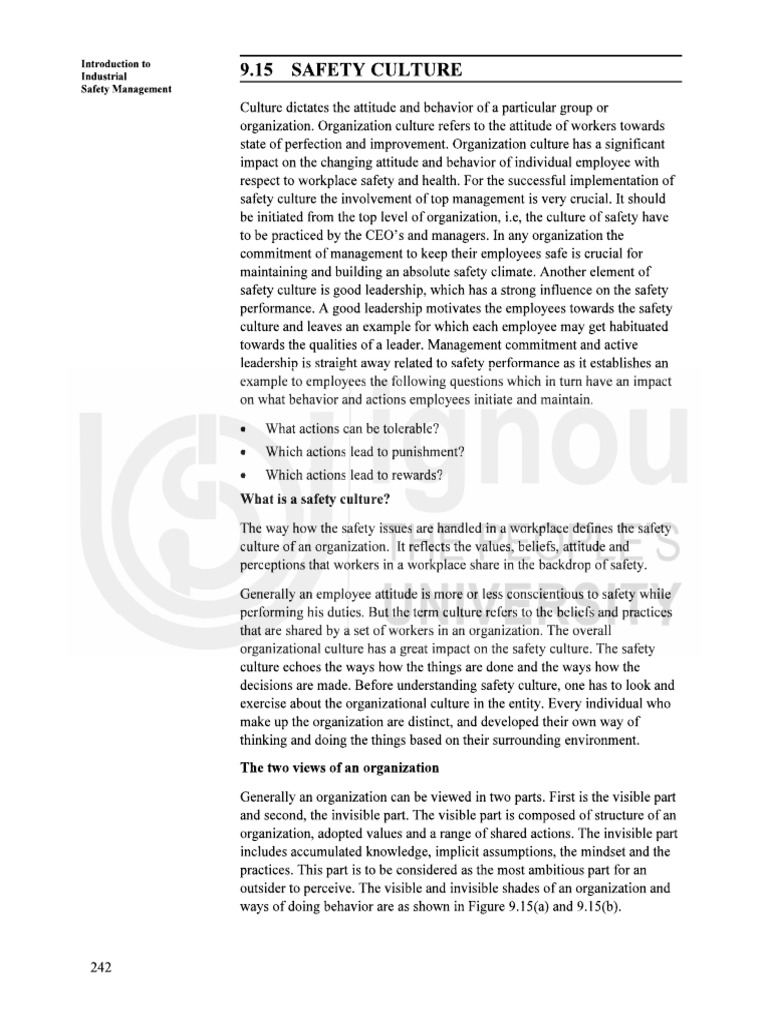 Safety Culture | PDF